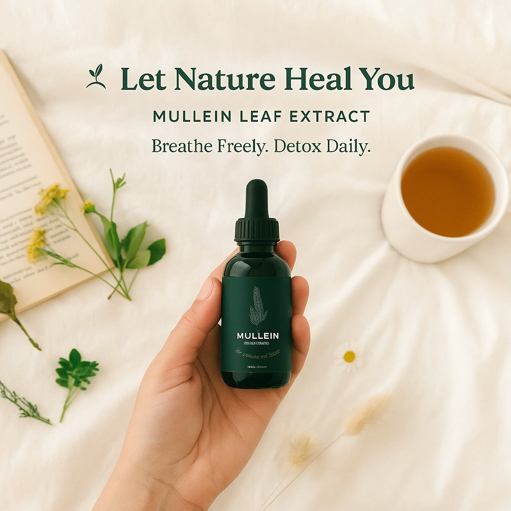 5 Reasons More People Are Using Mullein Leaf Drops for Better Breathing