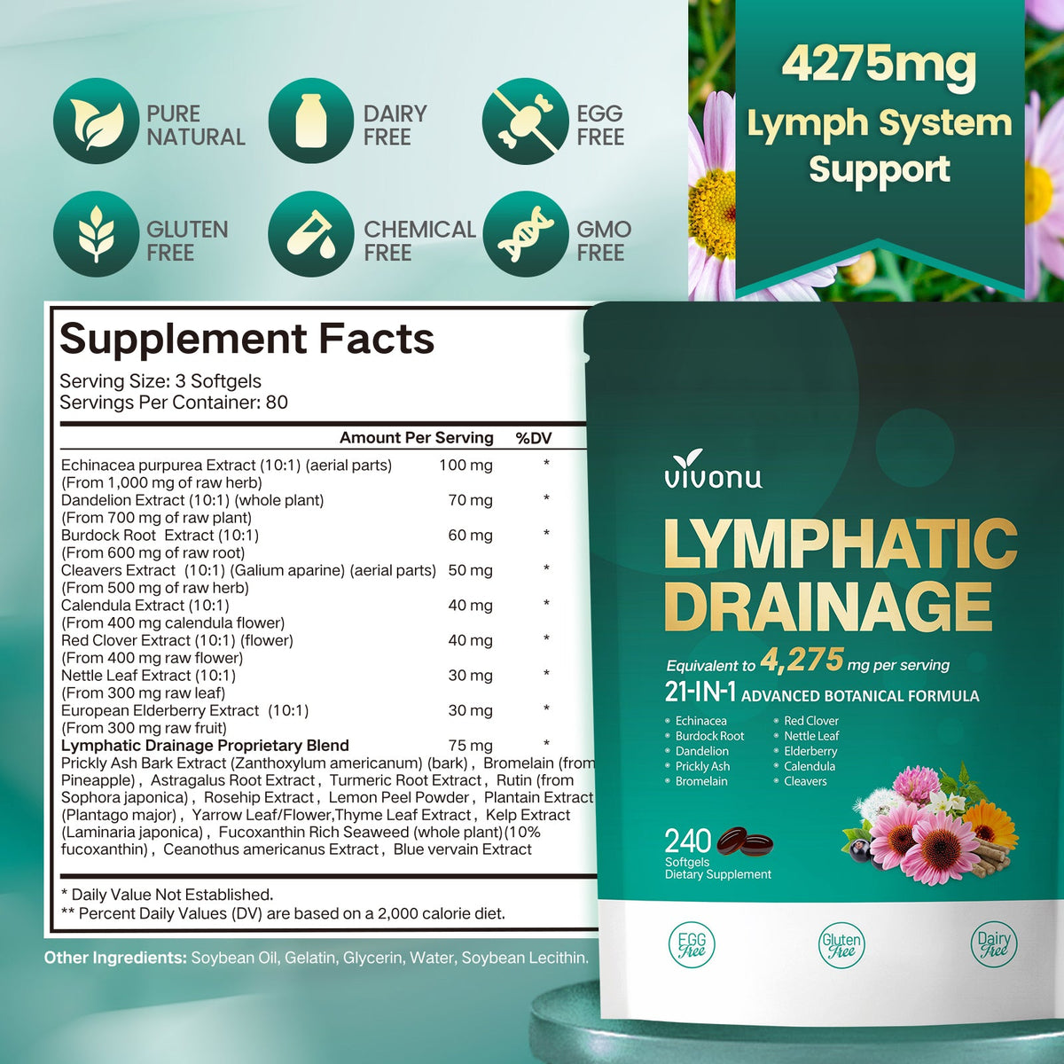 Lymphatic Drainage Supplement, 240 Softgels, 4275mg Lymph System Support Supplement for Women & Men