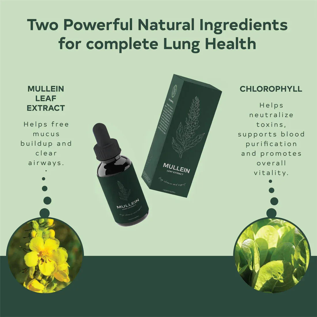 How to use mullein drops